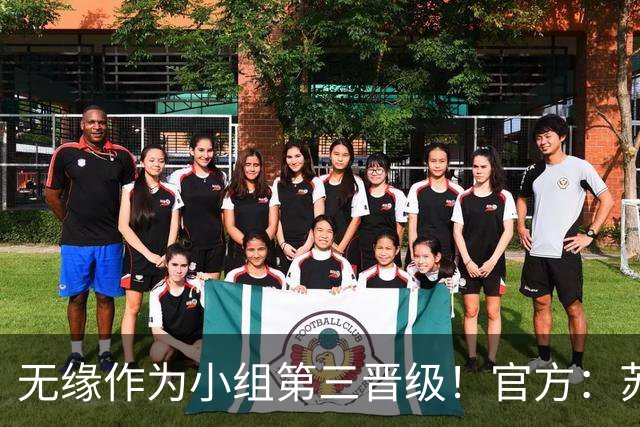 无缘作为小组第三晋级！官方：苏格兰主帅史蒂夫·克拉克辞职