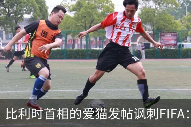 比利时首相的爱猫发帖讽刺FIFA：“红牌？”我照样继续踢！